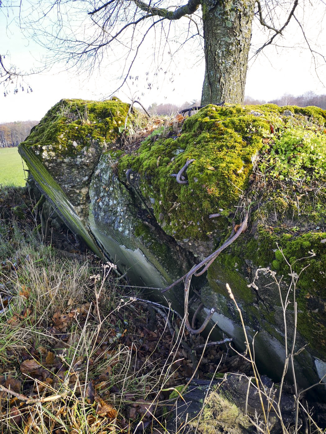 Ligne Maginot - WASENBERG - (Observatoire d'artillerie) - Les restes de l'observatoire, explosé par les allemands en 1944 - DK_Antoine4