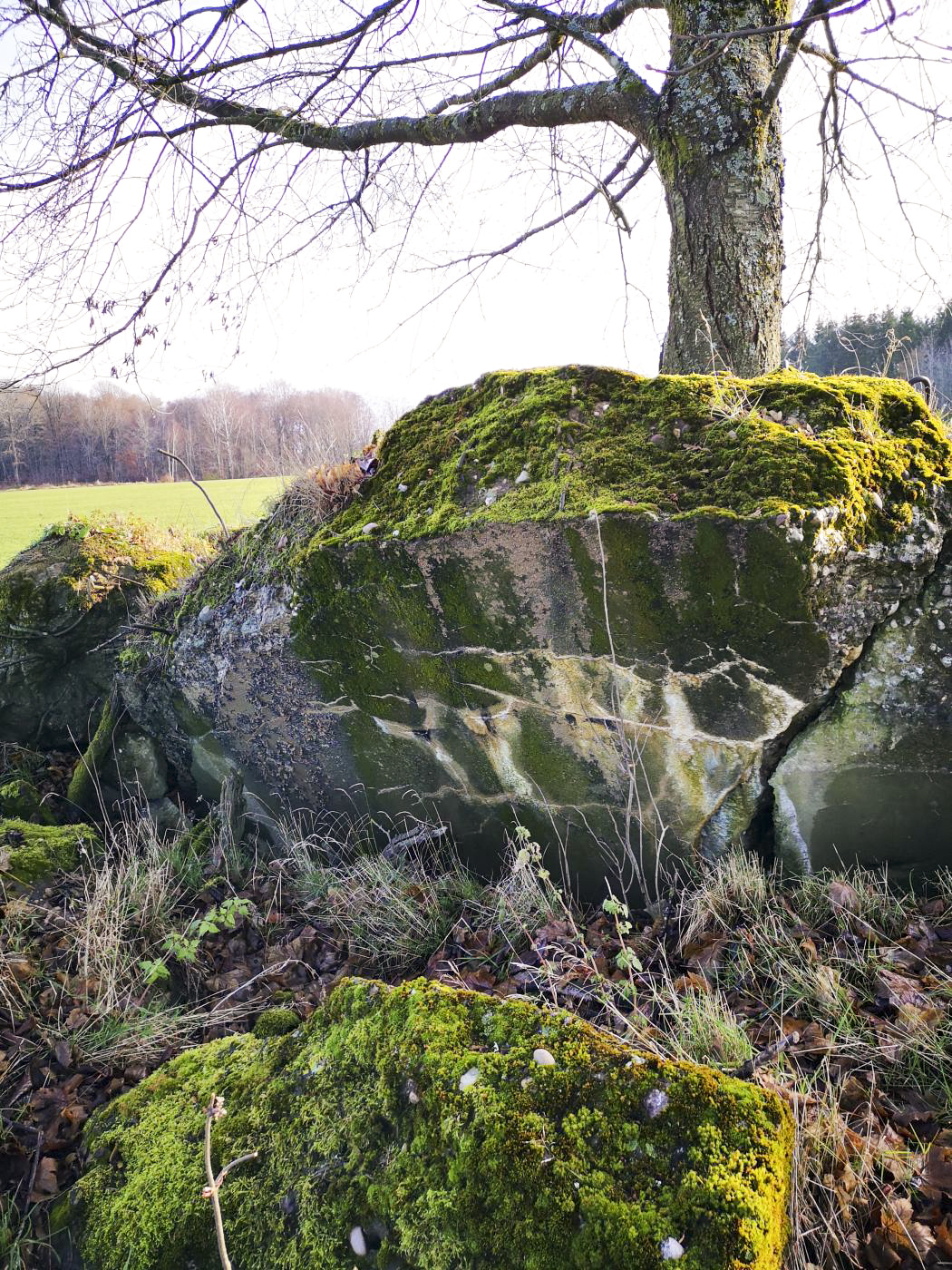 Ligne Maginot - WASENBERG - (Observatoire d'artillerie) - Les restes de l'observatoire, explosé par les allemands en 1944 - DK_Antoine4