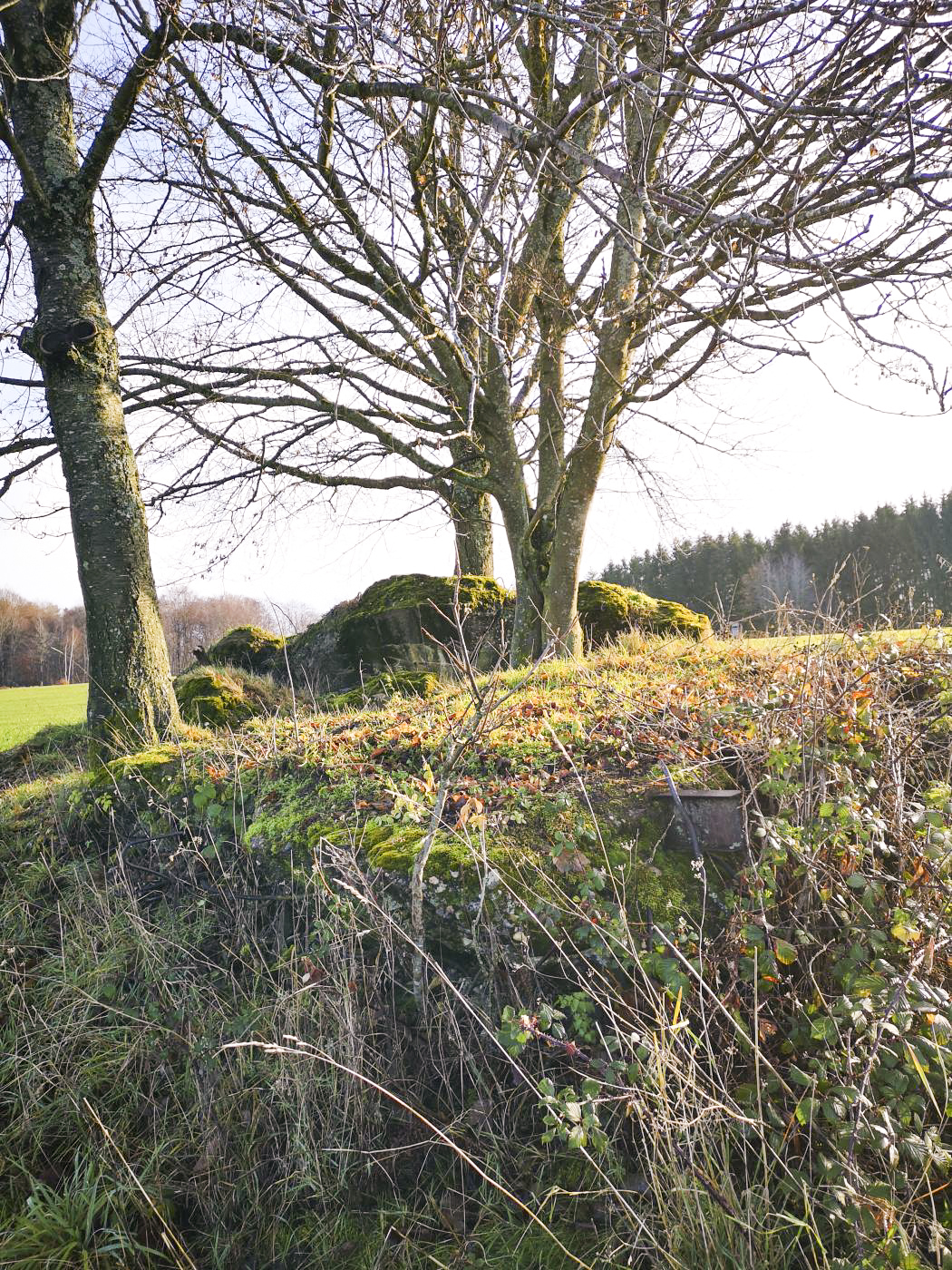 Ligne Maginot - WASENBERG - (Observatoire d'artillerie) - Les restes de l'observatoire, explosé par les allemands en 1944 - DK_Antoine4