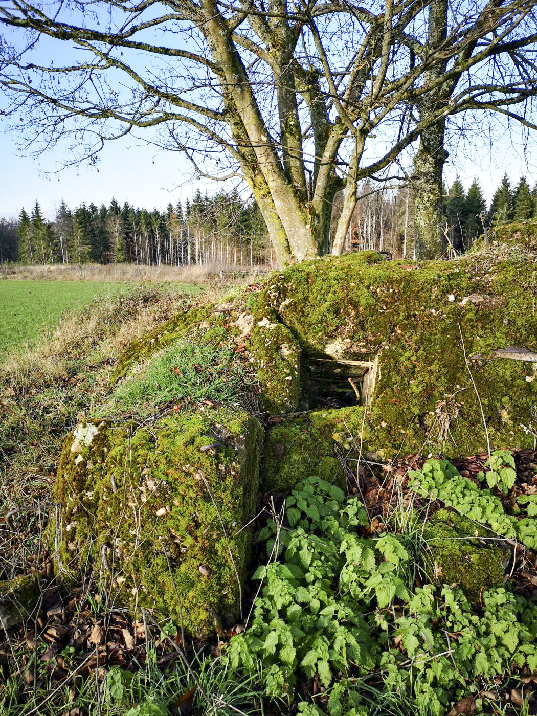 Ligne Maginot - WASENBERG - (Observatoire d'artillerie) - Les restes de l'observatoire, explosé par les allemands en 1944 - DK_Antoine4