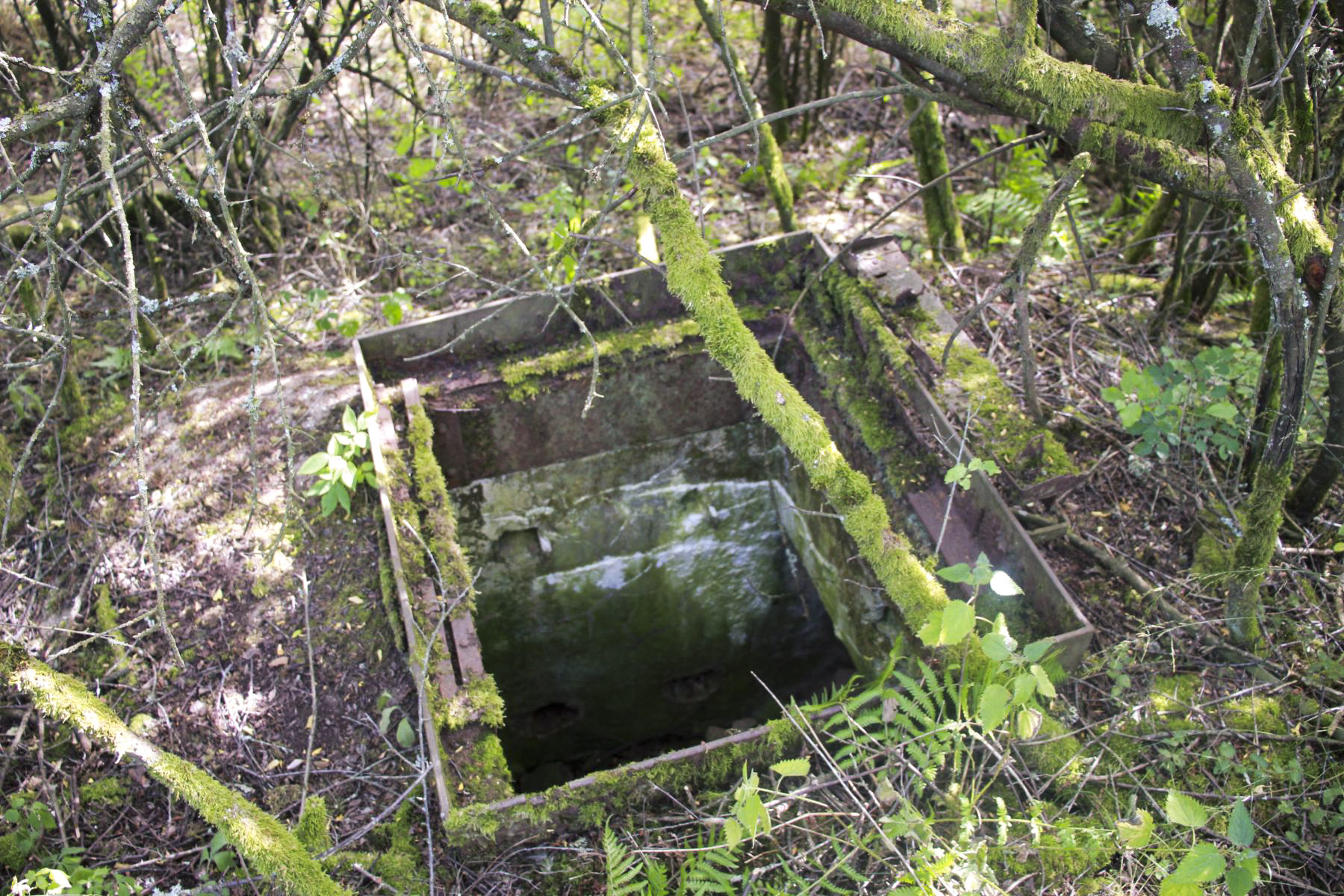 Ligne Maginot - BV21 - (Chambre de coupure) - 