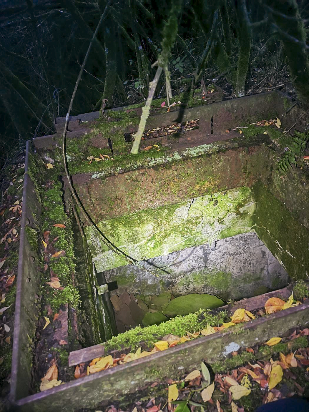 Ligne Maginot - BV21 - (Chambre de coupure) - La chambre de coupure BV21.
La plaque a disparu sans doute depuis de nombreuses années.