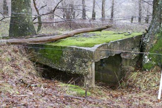 Ligne Maginot - GALGENBERG OUEST - (Blockhaus pour arme infanterie) - Vue d'ensemble