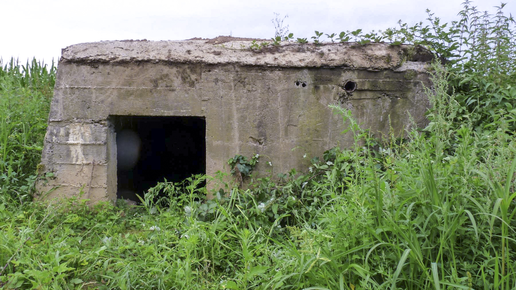 Ligne Maginot - JETTINGEN - (Chambre de coupure) - 