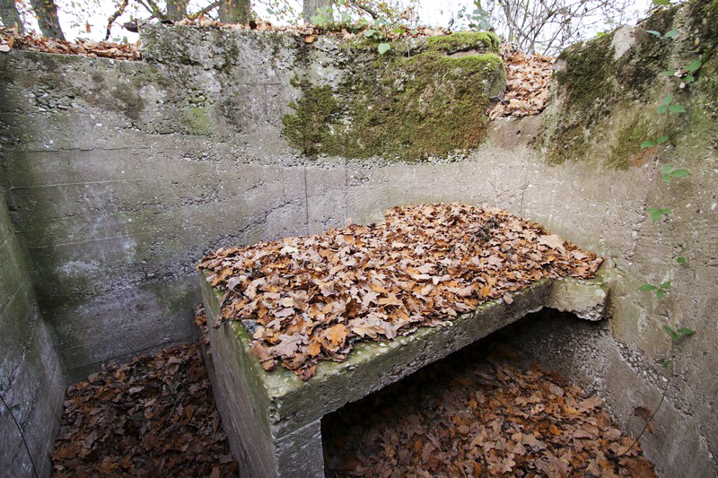 Ligne Maginot - FORT SEBASTIEN 2 (Cuve pour arme d'infanterie) - La tablette pour la mitrailleuse - GRUBER Franck