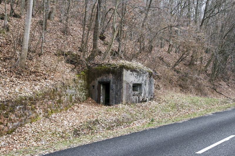 Ligne Maginot - GENDERSBERG (AVANT POSTE) - (Blockhaus pour arme infanterie) -  - GRUBER Franck