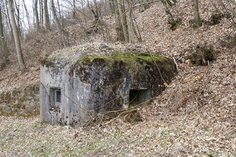 Ligne Maginot - GENDERSBERG (AVANT POSTE) - (Blockhaus pour arme infanterie) -  - GRUBER Franck