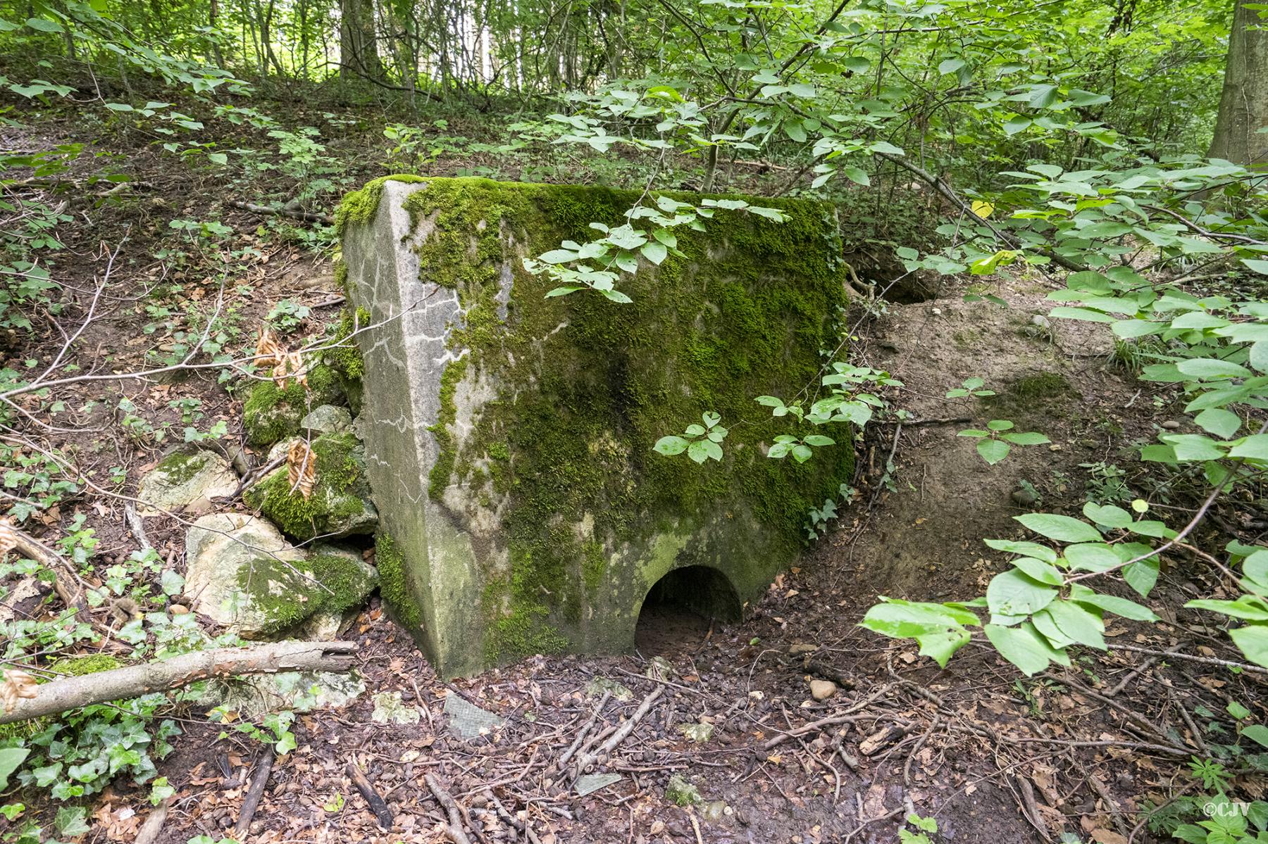 Ligne Maginot - 100 - WILLERBACH - (Casemate d'infanterie) - L’égout 