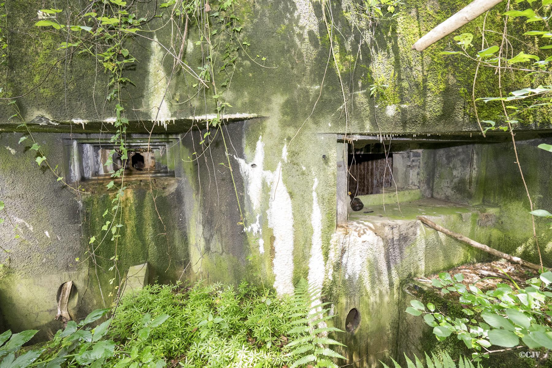 Ligne Maginot - 101 - TIEFENBACH NORD - (Casemate d'infanterie - double) - Les créneaux 