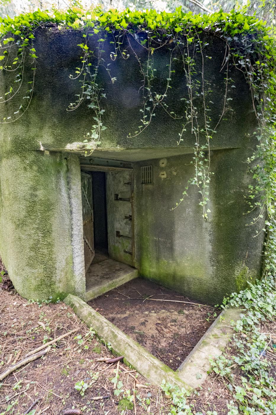 Ligne Maginot - 101 - TIEFENBACH NORD - (Casemate d'infanterie - double) - L'entrée