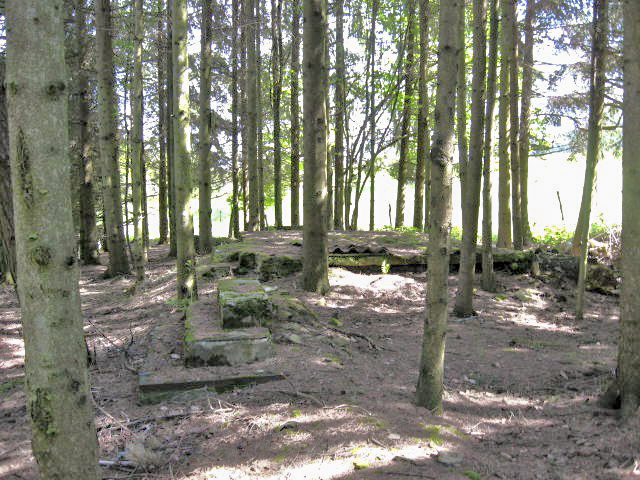 Ligne Maginot - HASPELSCHIEDT 5   (AVANT POSTE) - (Casernement) - Vue générale - Christian LENHARD