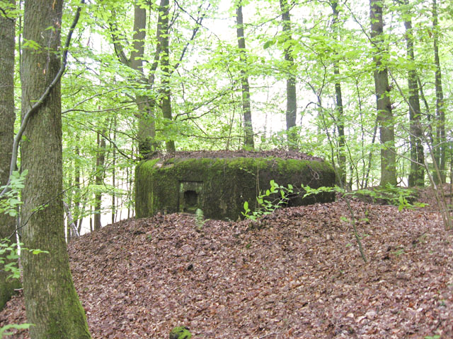 Ligne Maginot - HASPELSCHIEDT 4 (AVANT POSTE) - (Blockhaus pour arme infanterie) - Vue générale