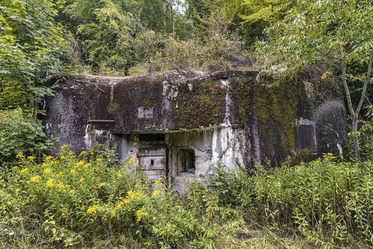 Ligne Maginot - LEGERET - (Abri) - Le coffre d'entrée Est qui disparaît sous la végétation.