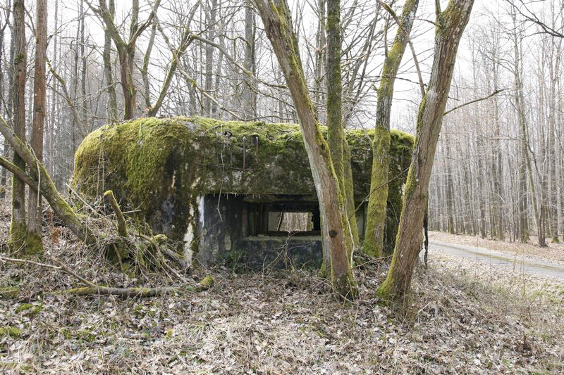Ligne Maginot - NEUBACH 1 (AVANT POSTE) - (Blockhaus pour canon) - 