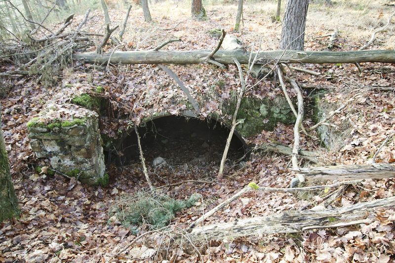 Ligne Maginot - PETIT HOHEKIRKEL 8 (Abri) - 