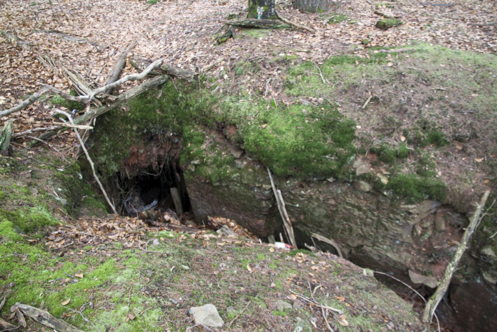 Ligne Maginot - PFAFFENBERG SUD - (Position d'artillerie préparée) - Abri à 2 entrées