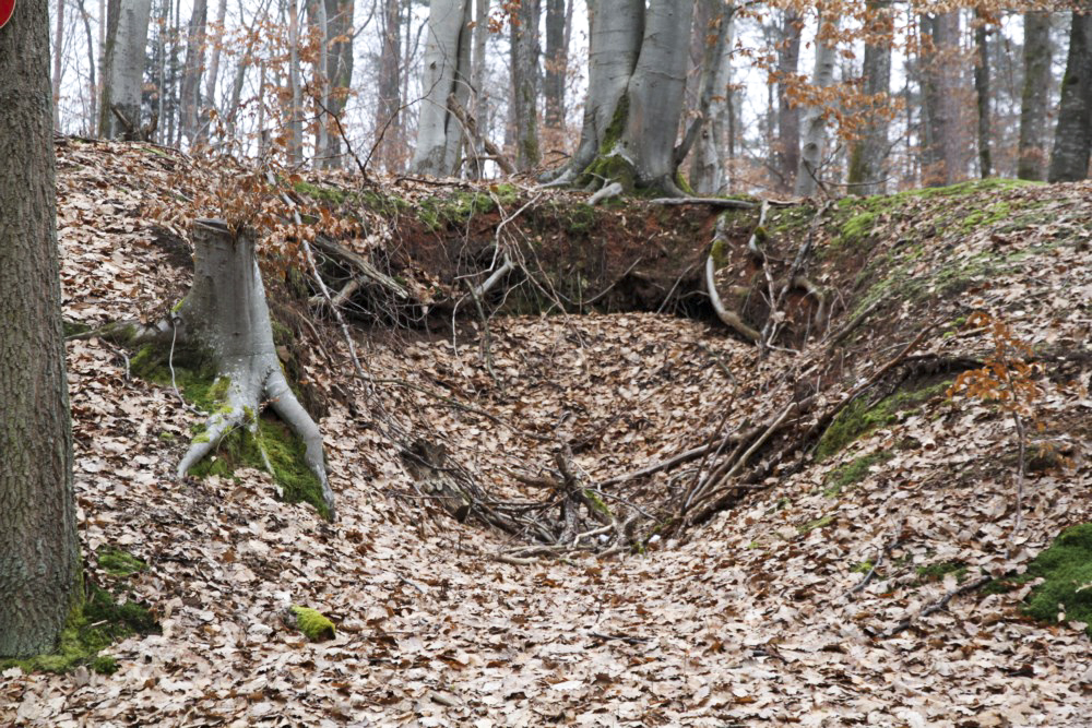 Ligne Maginot - PFAFFENBERG SUD - (Position d'artillerie préparée) - Les emplacements des pièces