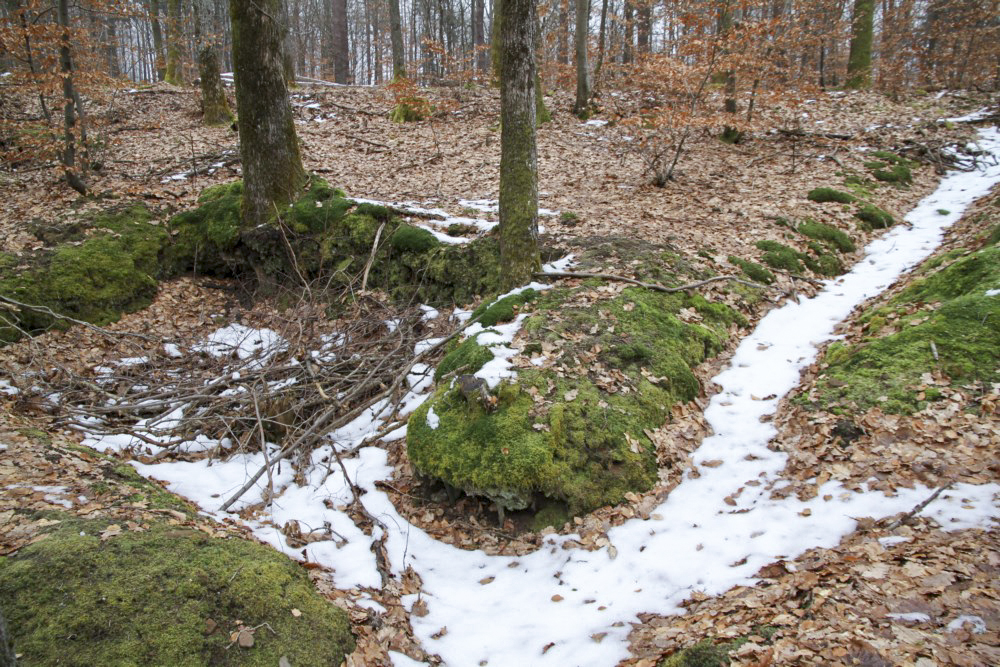 Ligne Maginot - PFAFFENBERG SUD - (Position d'artillerie préparée) - A proximité, de nombreuses traces de cagnas et tranchées