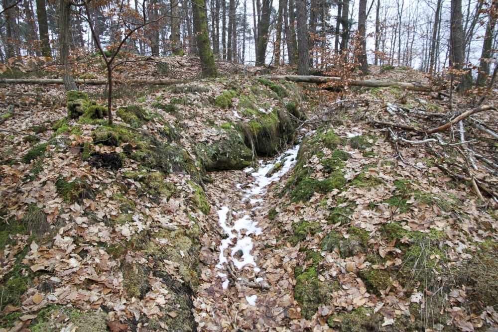 Ligne Maginot - PFAFFENBERG SUD - (Position d'artillerie préparée) - A proximité, de nombreuses traces de cagnas et tranchées