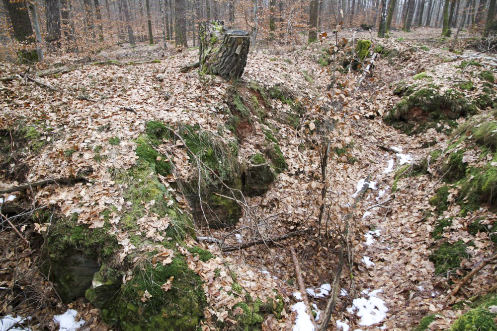 Ligne Maginot - PFAFFENBERG SUD - (Position d'artillerie préparée) - A proximité, de nombreuses traces de cagnas et tranchées