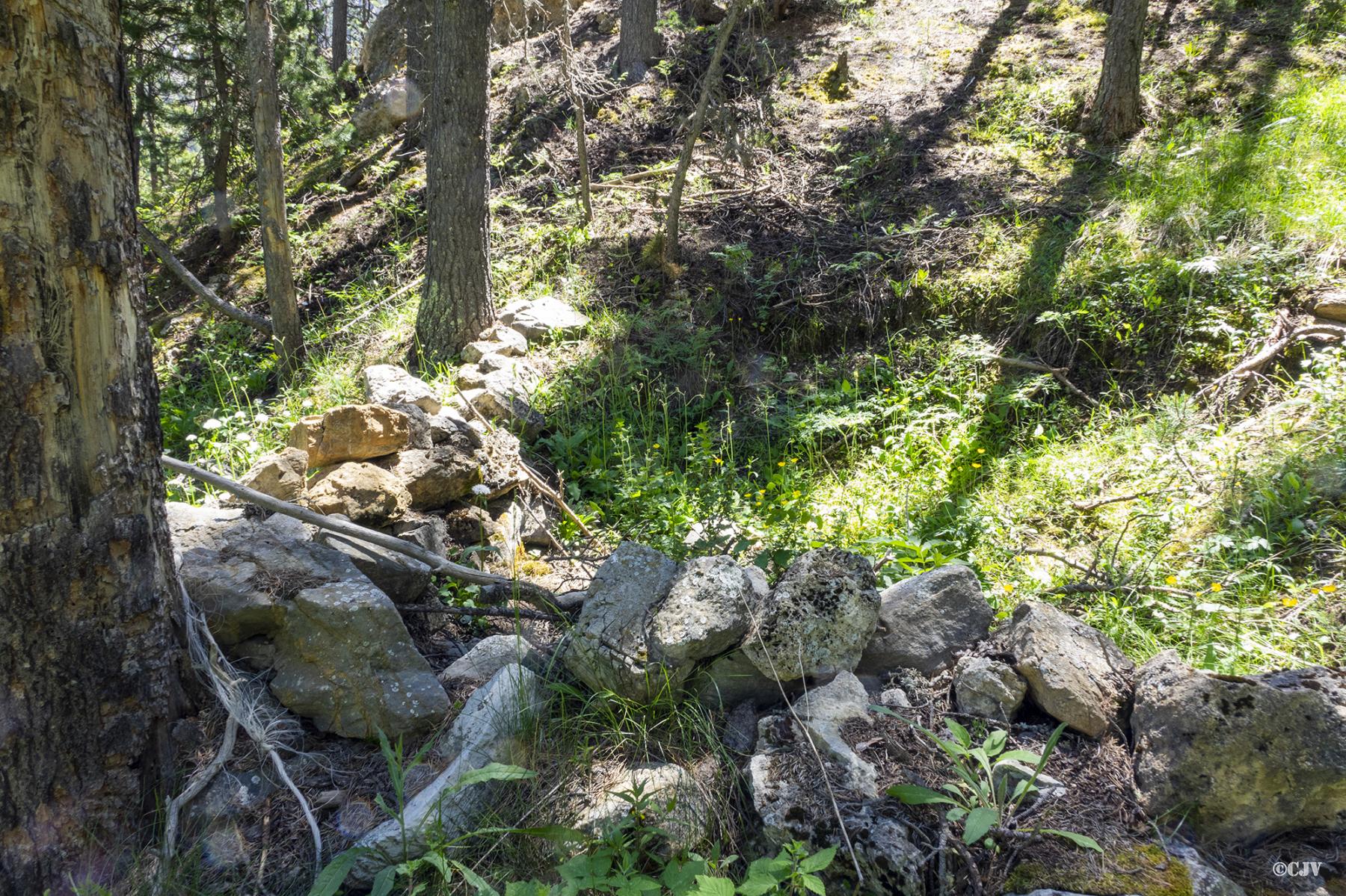 Ligne Maginot - LE LAUS (3° BIE / 154° RAP) - (Position d'artillerie préparée) - Emplacement - Lia VERMEULEN