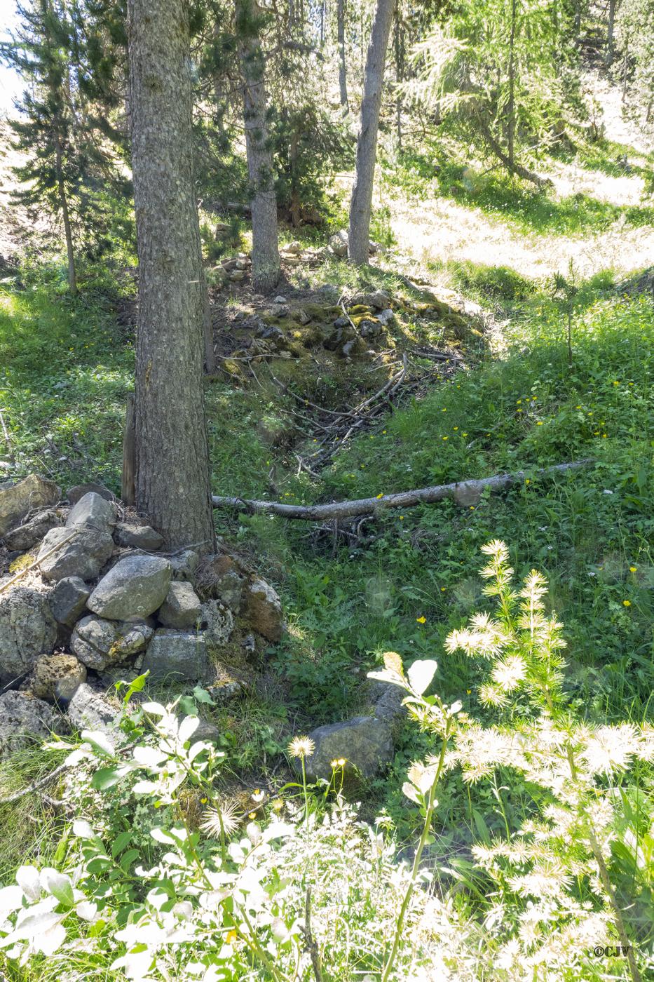 Ligne Maginot - LE LAUS (3° BIE / 154° RAP) - (Position d'artillerie préparée) - Tranchée - Lia VERMEULEN