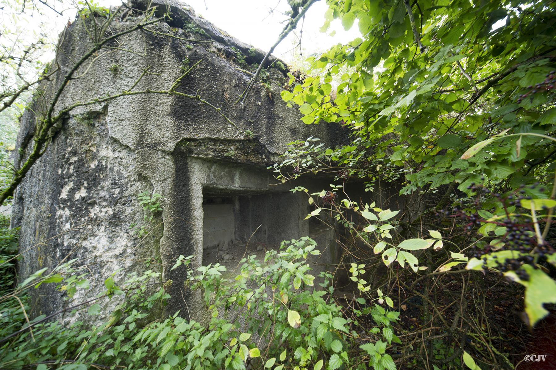 Ligne Maginot - A15 - MAULDE SUD OUEST 3 - AMETHYSTE - (Blockhaus lourd type STG / STG-FCR - Double) - 