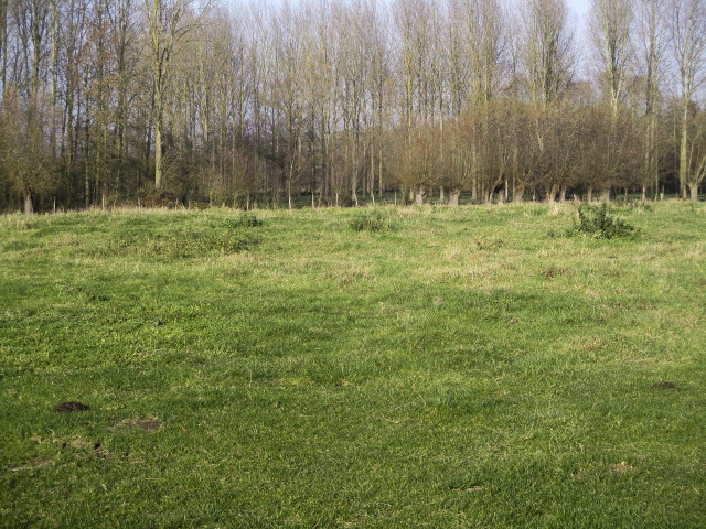 Ligne Maginot - A27BIS - CHARBON - (Blockhaus lourd type STG / STG-FCR - Double) - Emplacement de la base du blockhaus situé dans un pré en bordure de la D 368 - Rue de Bruille.