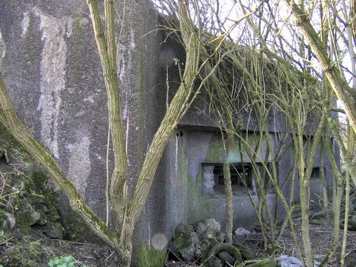 Ligne Maginot - A28 - LONG BUHOT - (Casemate d'infanterie) - 