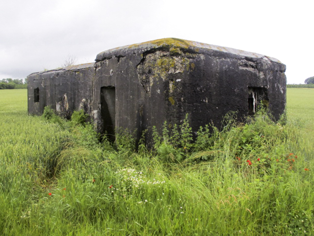 Ligne Maginot - B378 - BOIS MONTOIR (PDS) - (Abri actif) - L'entrée et le créneau arrière