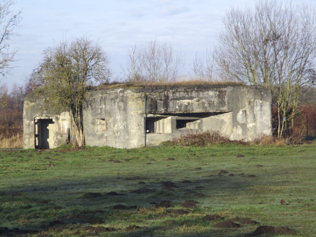 Ligne Maginot - A35 - RUBIS - (Blockhaus lourd type STG / STG-FCR - Double) - Situé dans un pré clôturé - Visible du Chemin Piré.