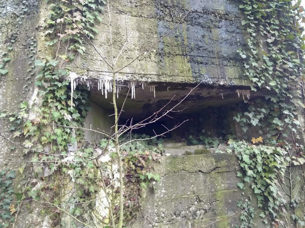 Ligne Maginot - BEGONIA - (Blockhaus lourd type STG / STG-FCR - Double) - Créneau d'observation