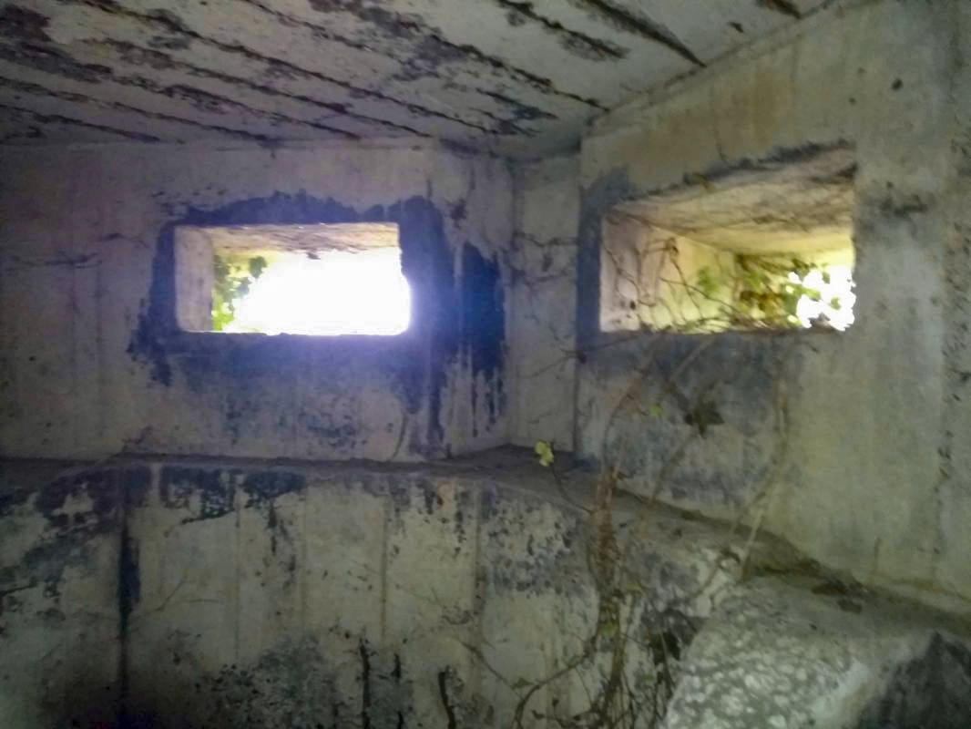 Ligne Maginot - BEGONIA - (Blockhaus lourd type STG / STG-FCR - Double) - Les créneaux d'observation