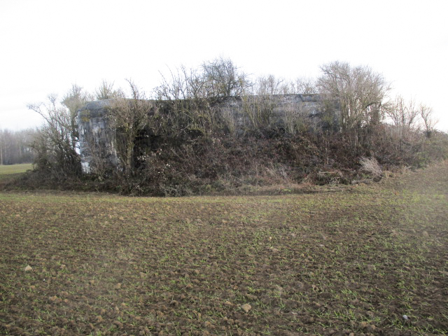 Ligne Maginot - A46 - GLAIEUL - (Blockhaus lourd type STG / STG-FCR - Double) - Blockhaus situé dans son environnement.