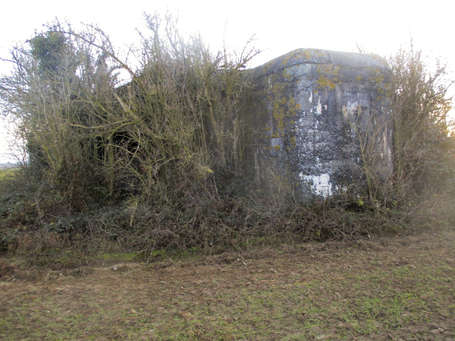 Ligne Maginot - A46 - GLAIEUL - (Blockhaus lourd type STG / STG-FCR - Double) - 
