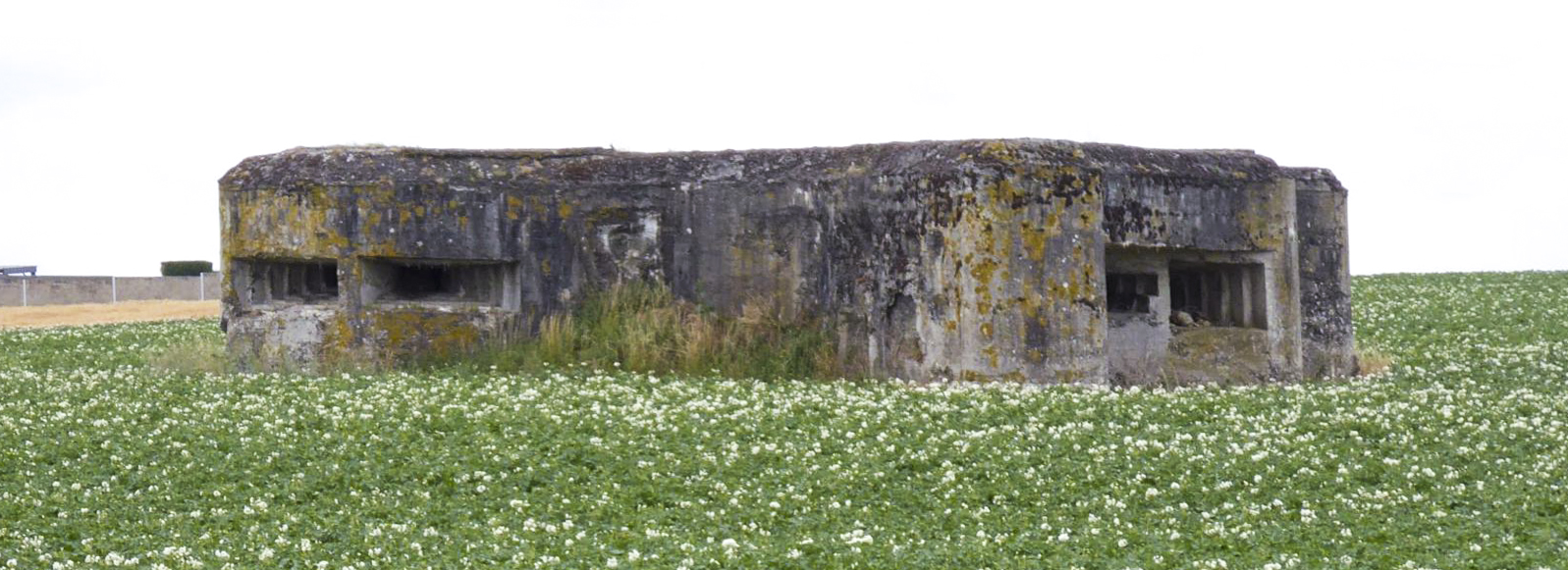 Ligne Maginot - A49 - GLYCINE - (Blockhaus lourd type STG / STG-FCR - Double) - Pris depuis le barrage de route des Godelins