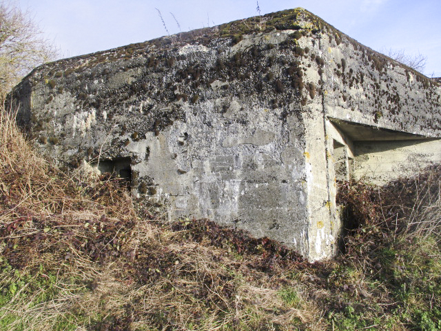 Ligne Maginot - A55 - HORTENSIA - (Blockhaus lourd type STG / STG-FCR - Double) - 