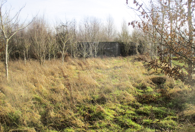 Ligne Maginot - A56 - LE LYS - (Blockhaus lourd type STG / STG-FCR - Double) - Ce blockhaus, situé à proximité d'un bosquet, est visible de la D 50a.
