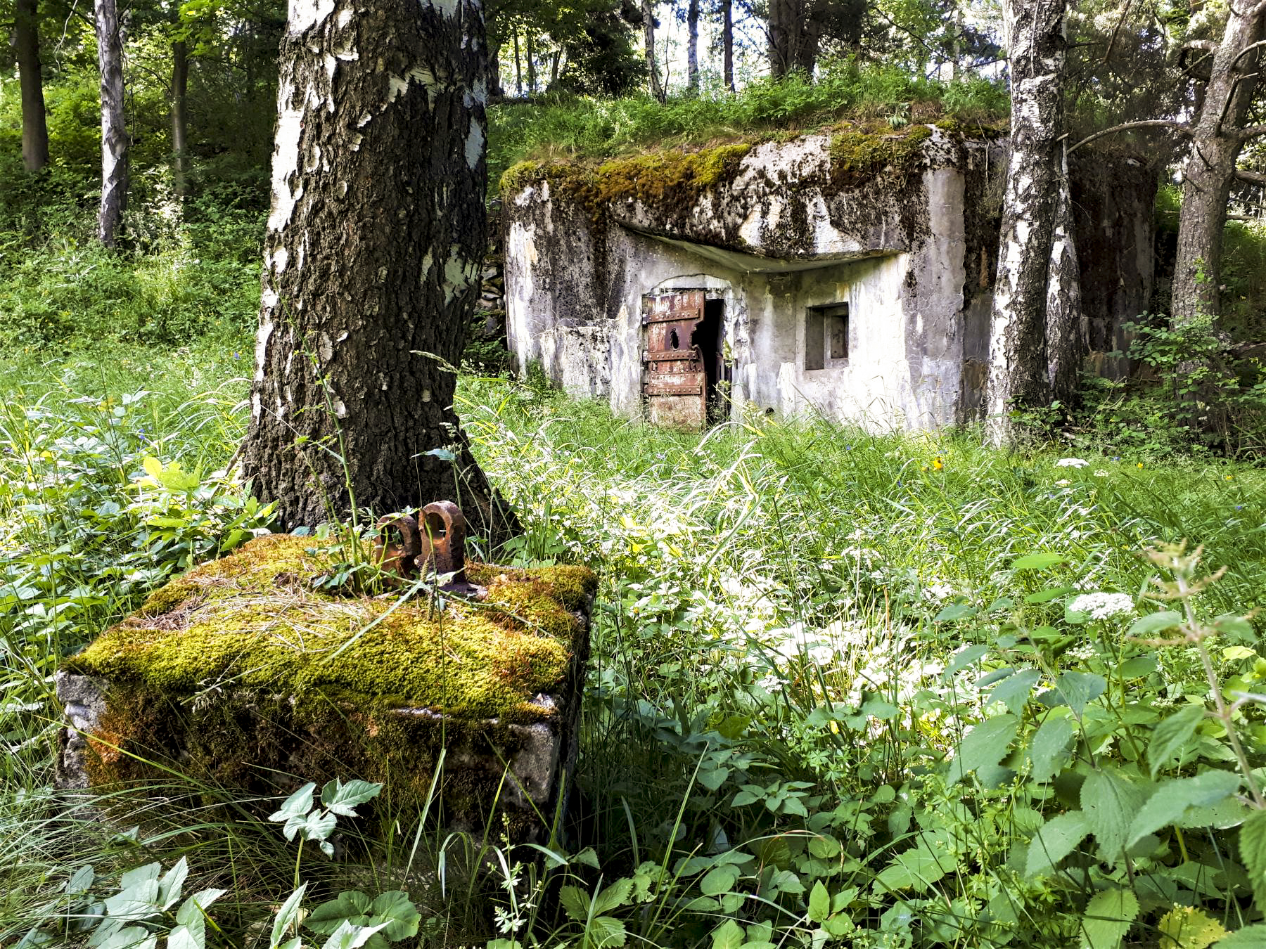 Ligne Maginot - AMODON - (Abri) - Coffre d'entrée Sud