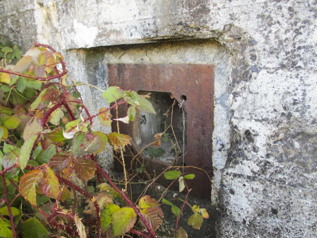 Ligne Maginot - B439 - FORT MASSY - (Blockhaus pour canon) - Visible du chemin de halage des Mazys.