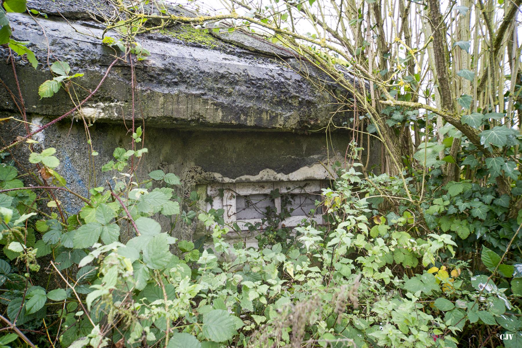 Ligne Maginot - B439 - FORT MASSY - (Blockhaus pour canon) - 