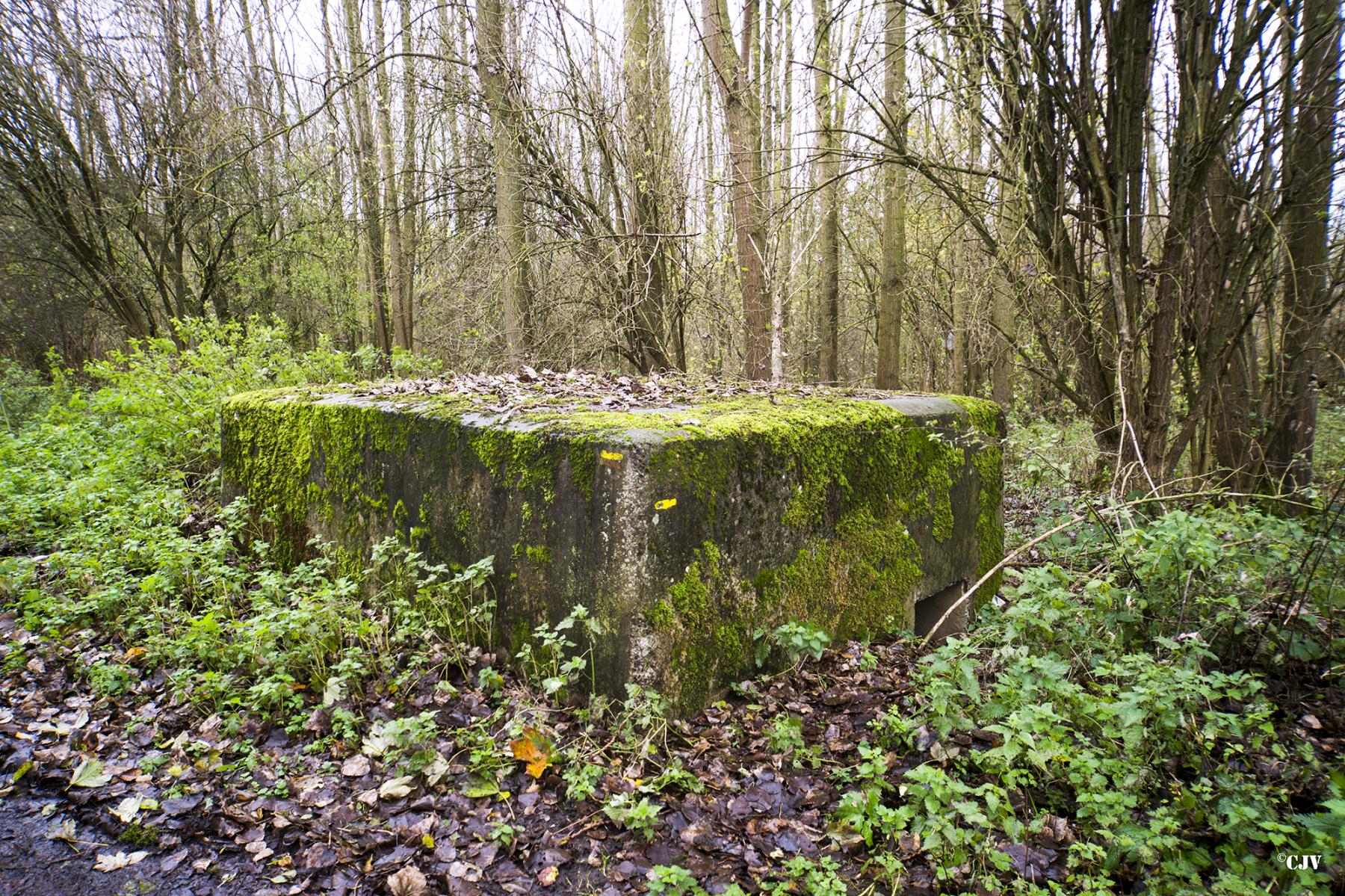 Ligne Maginot - B435 - CONDE 16 - (Blockhaus pour arme infanterie) - 