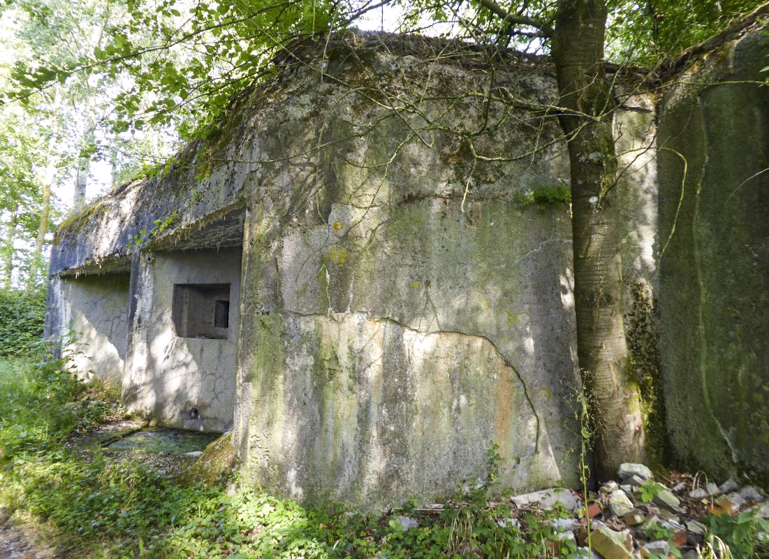 Ligne Maginot - A59 - PRESEAU EST - (Blockhaus lourd type STG / STG-FCR - Double) - 