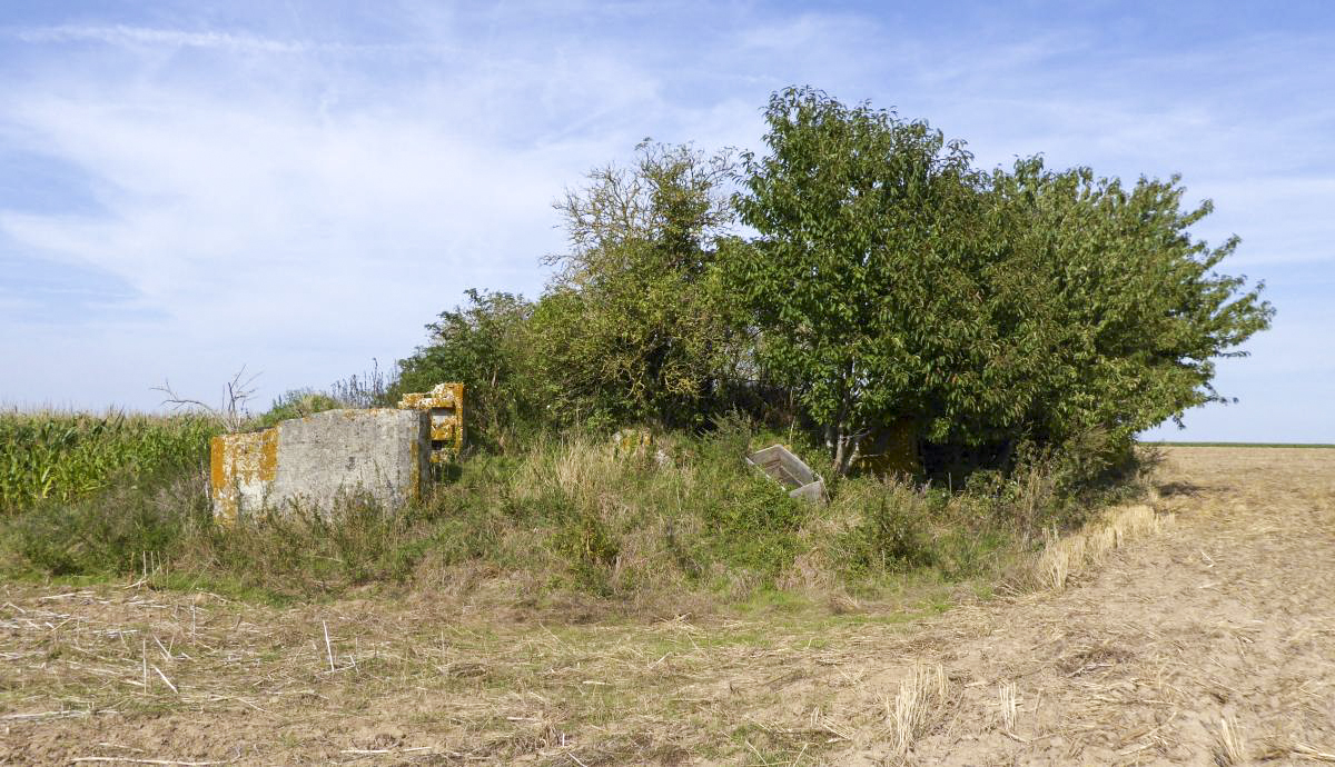 Ligne Maginot - A63BIS - VILLERS POL NORD - (Blockhaus lourd type STG / STG-FCR - Double) - 