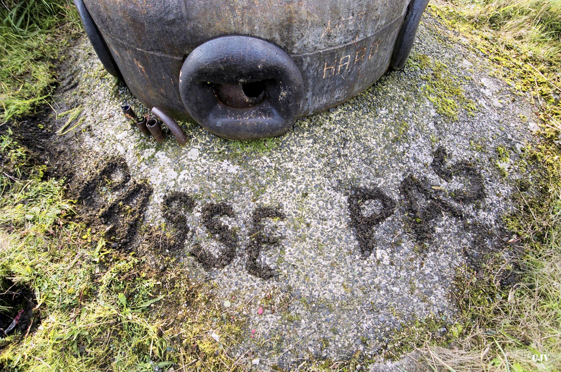 Ligne Maginot - CIMETIERE D'ESCAUPONT EST - C12 - (Casemate d'infanterie) - 
