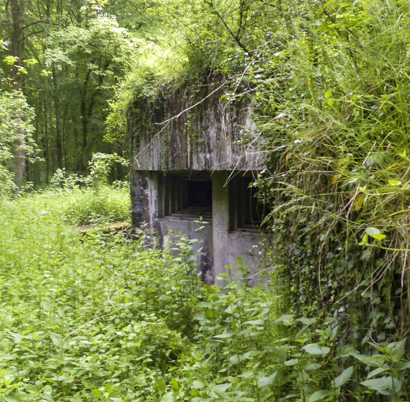 Ligne Maginot - DREVE SAINT ANTOINE - C6 - (Casemate d'infanterie - double) - Chambre de tir Est - François VILLARS