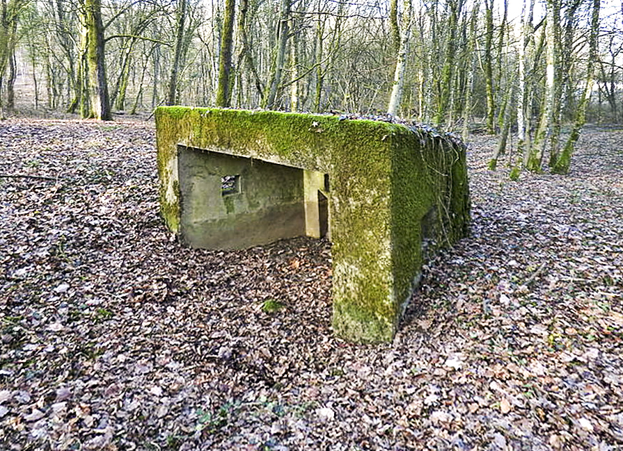 Ligne Maginot - CBO2 - (Blockhaus pour canon) - 