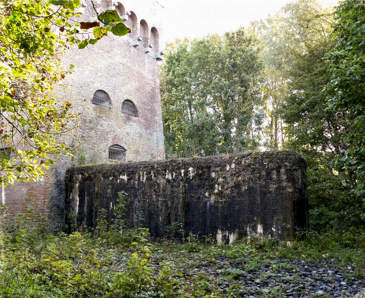 Ligne Maginot - B421 - FOSSE DU SARTEAU - TOUR CARREE - (Blockhaus pour canon) - 