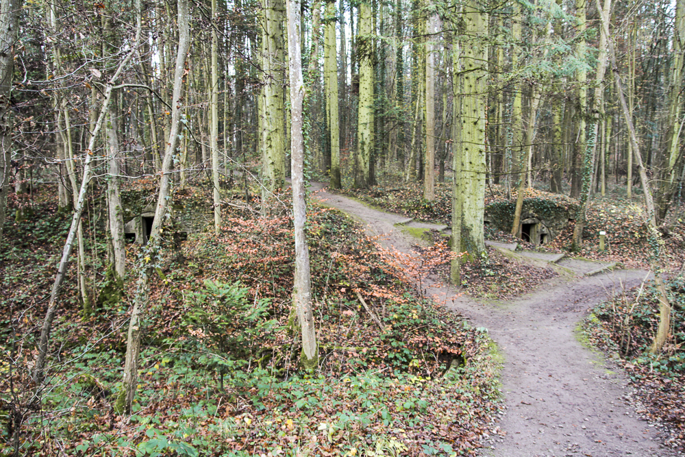 Ligne Maginot - BOIS BABERT (1 / 70° RAMF) - (PC) - Vue générale du PC. La troisième alvéole, non visible sur la photo est vers la droite.