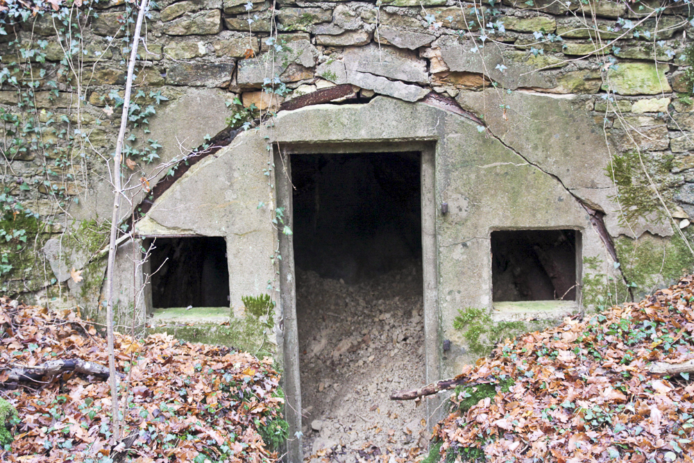 Ligne Maginot - BOIS BABERT (1 / 70° RAMF) - (PC) - Vue de l'alvéole de droite en 2011. Le toit est déjà crevé et l'alvéole commence à se remplir de terre.